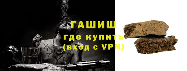 гашик Пестово