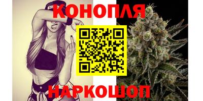 стаф Кинель