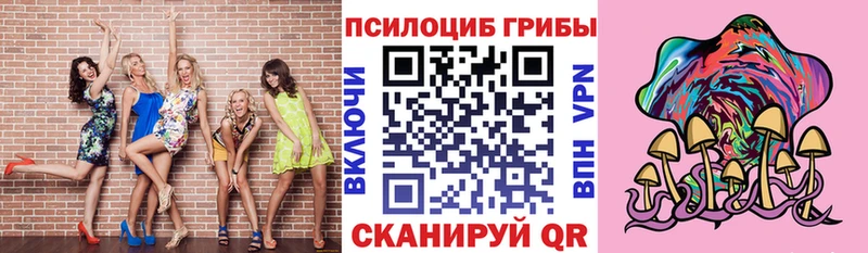 mega зеркало  Пыть-Ях  Псилоцибиновые грибы MAGIC MUSHROOMS 