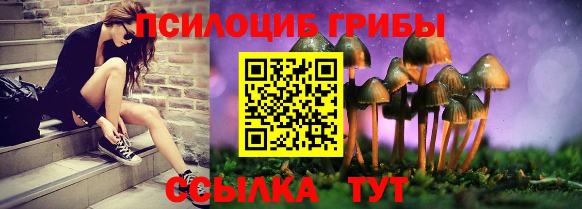 Пыть-Ях  Псилоцибиновые грибы MAGIC MUSHROOMS  Галлюциногенные грибы Psilocybe  Вход с VPN 
